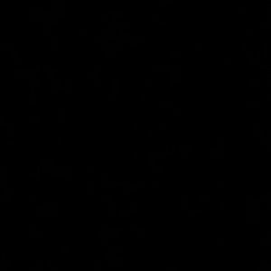 Meet your Posher, Kyra